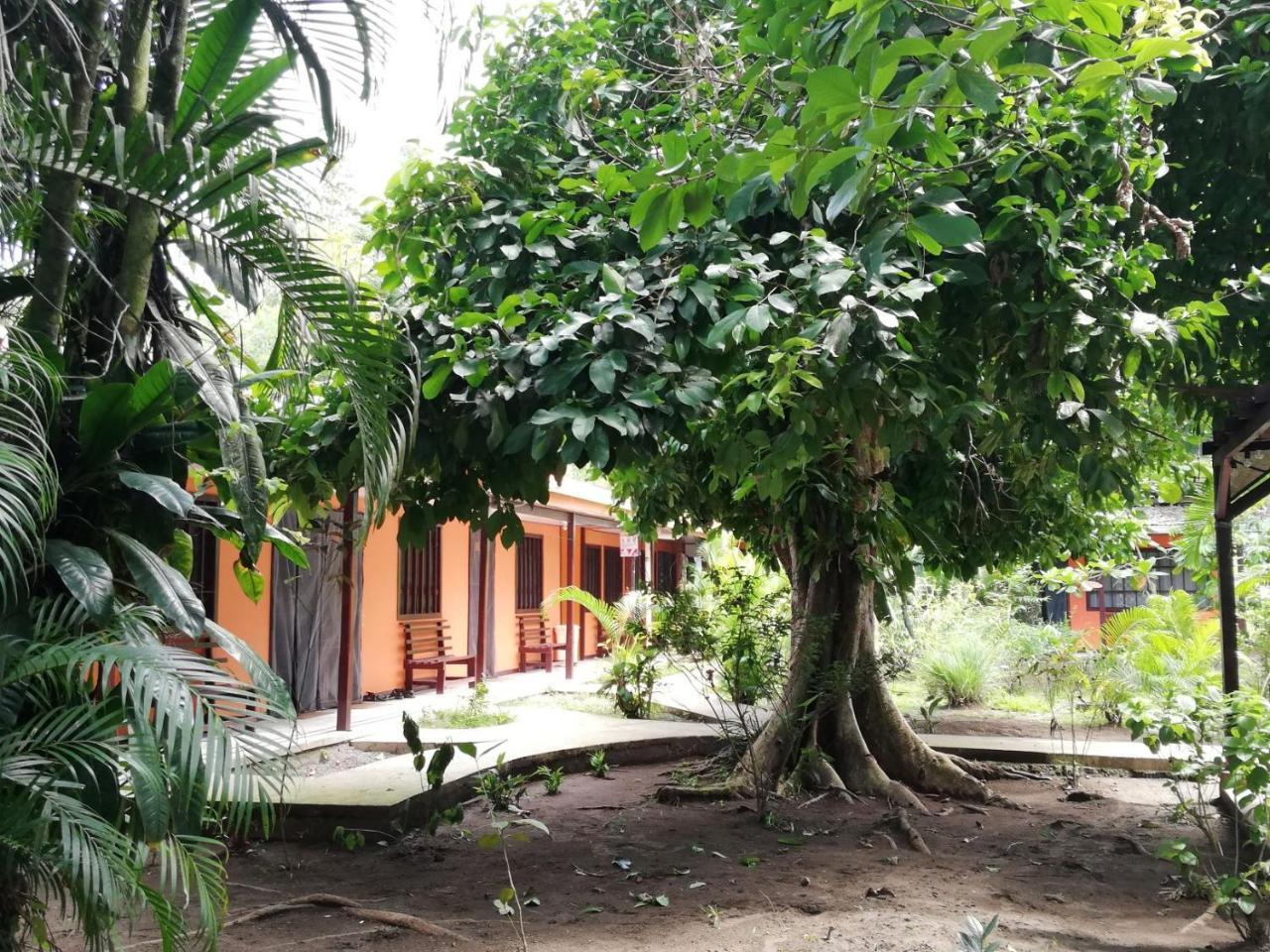 Aracari Garden Hostel Tortuguero Zewnętrze zdjęcie